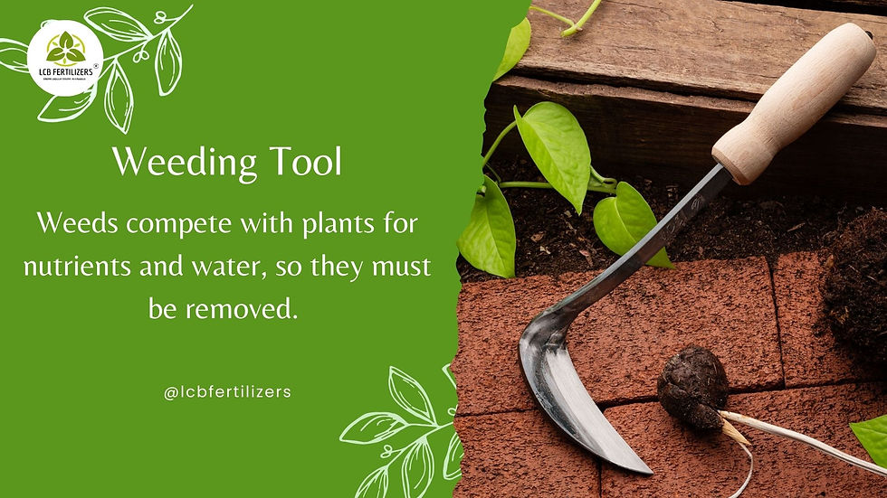 Weeding Tool