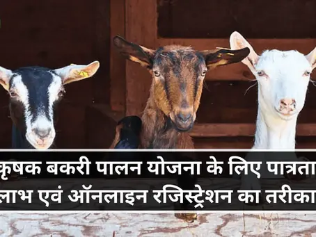 कृषक बकरी पालन योजना के लिए पात्रता, लाभ एवं ऑनलाइन रजिस्ट्रेशन का तरीका
