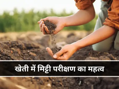 खेती में मिट्टी परीक्षण का महत्व