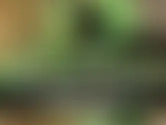 चौलाई की खेती कब और कैसे करें सम्पूर्ण जानकारी