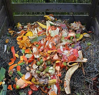 Organic Waste management Solutions Techniques that are effective and Helps in Doing Sustainable Farming