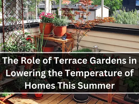 The Role of Terrace Gardens in Lowering the Temperature of Homes This Summer