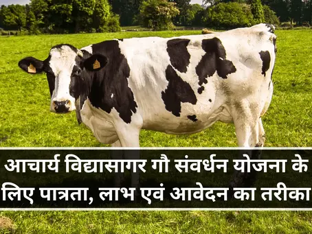 आचार्य विद्यासागर गौ संवर्धन योजना के लिए पात्रता, लाभ एवं आवेदन का तरीका