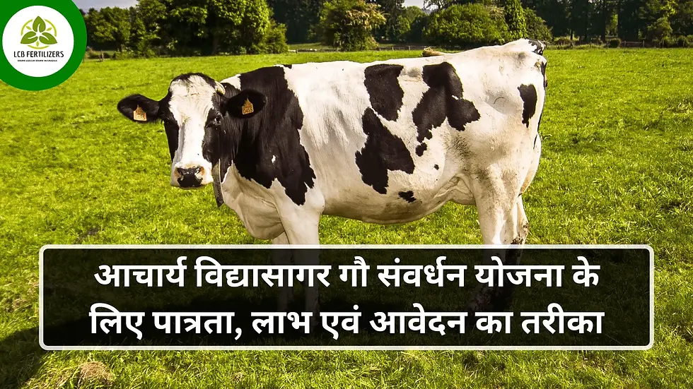 Acharya Vidyasagar Gau Samvardhan Yojana