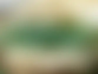 जुलाई में कौनसी फसलें और सब्जियां बोई जा सकती हैं?