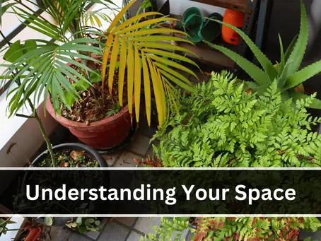 How to Do Gardening in a Small Space?