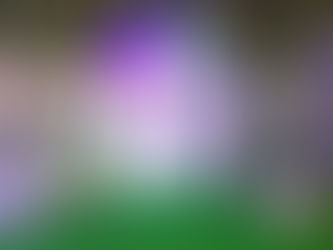 【會展新聞】首設展館 目的地婚禮論壇探跨界融合