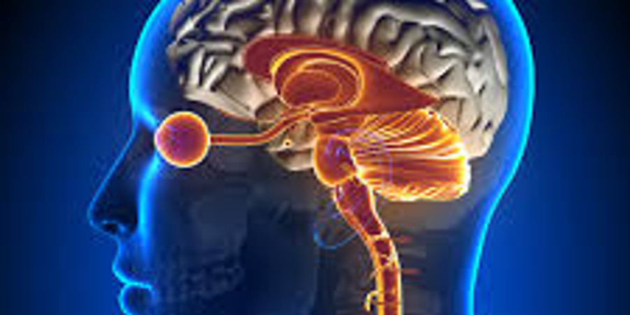 EMDR & Brainspotting Workshop