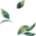 6341841_preview.png