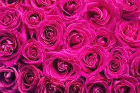 Thumbnail: Hanna Hot pink Dress 