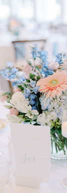 Julia + Tyler by Carly Landolt Photography