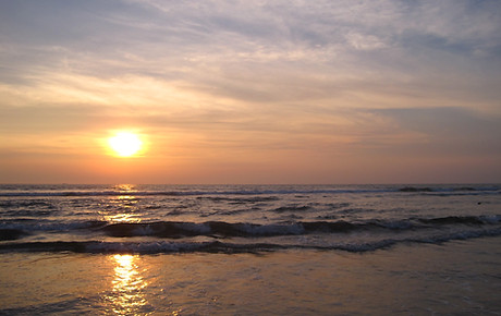 IMG_6783.JPG