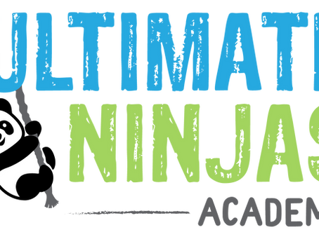 #73 - Ultimate Ninjas Academy