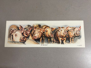 #65 Watercolor Print by Robert E Pierson - "Miss Piggy Pageant" Pigs
