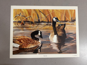 #68 Watercolor Print by Robert E. Pierson, "Paired Up" Geese