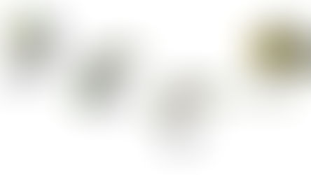 It’s Time to Celebrate Dads & Grads!