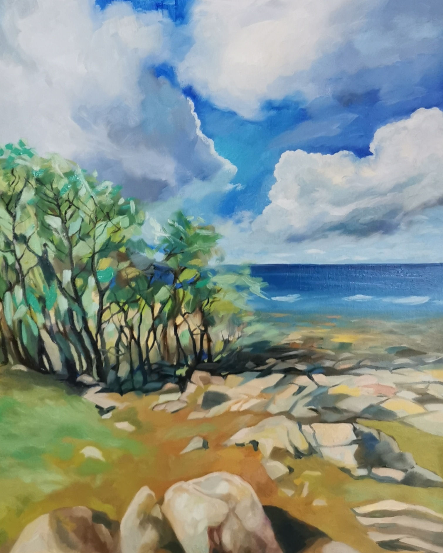 Mellem Svenskehavn og Halleklippen.