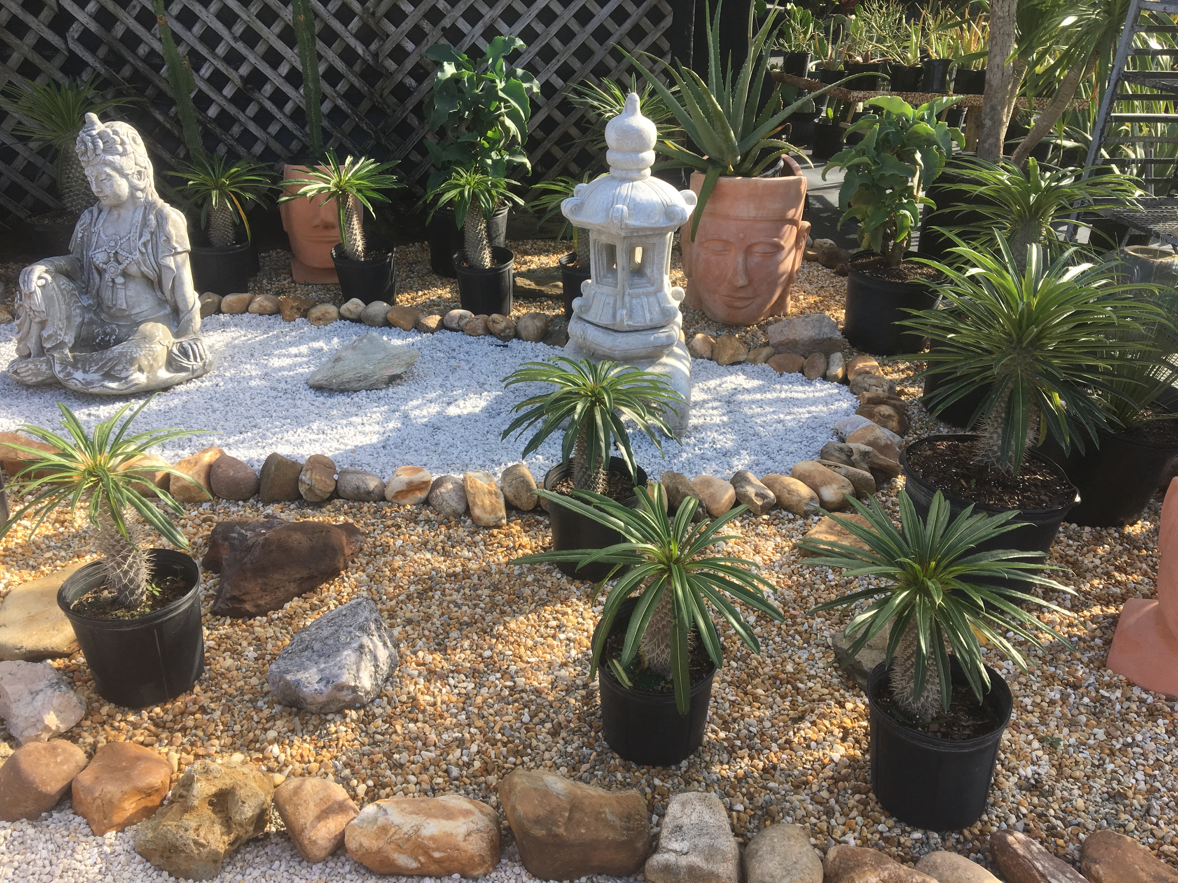 Lighthouse Garden Center Plant Nursery Garden Center Miami