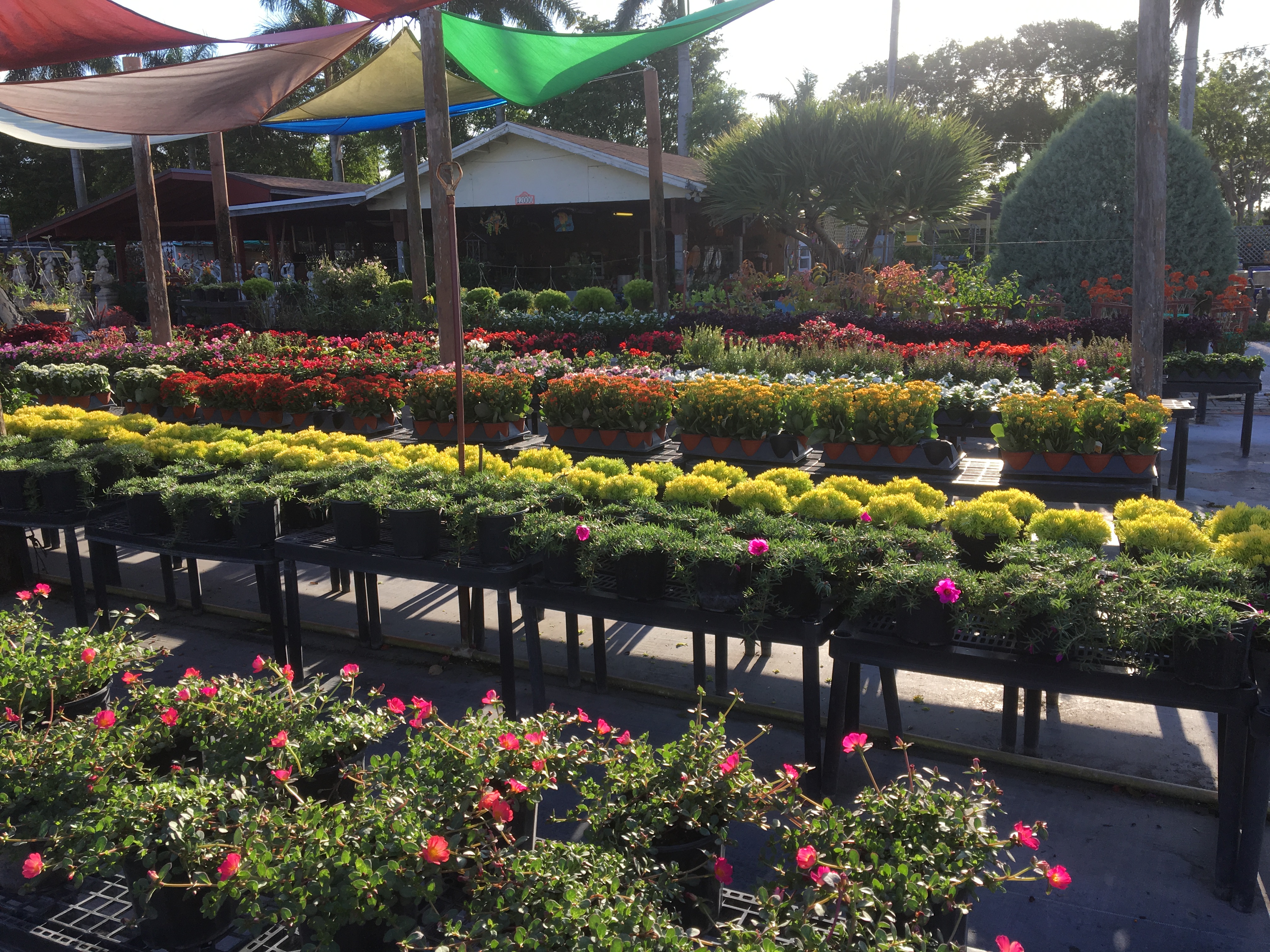 Lighthouse Garden Center Plant Nursery Garden Center Miami