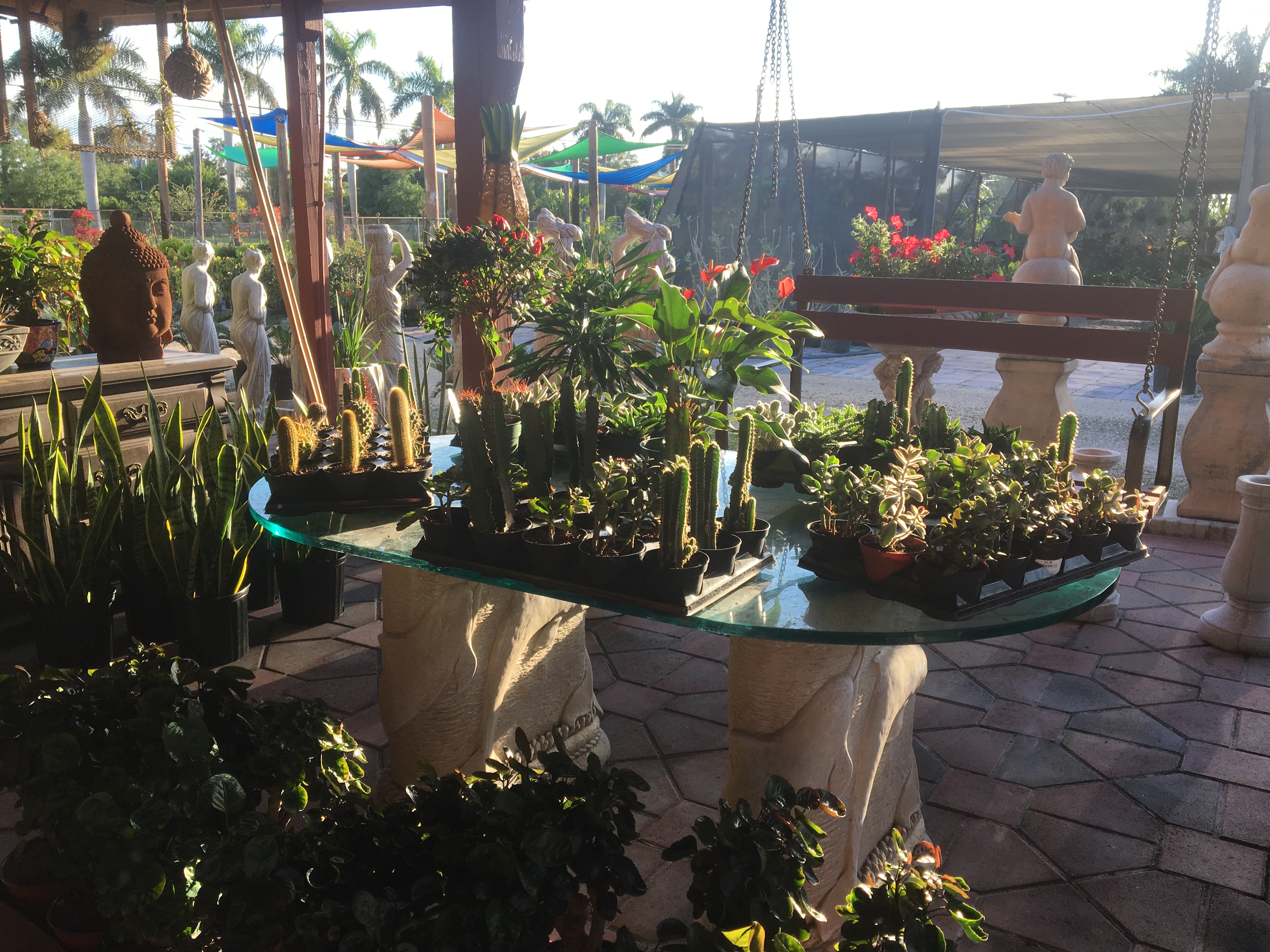 Lighthouse Garden Center Plant Nursery Miami Plant Nursery Garden Center Miami