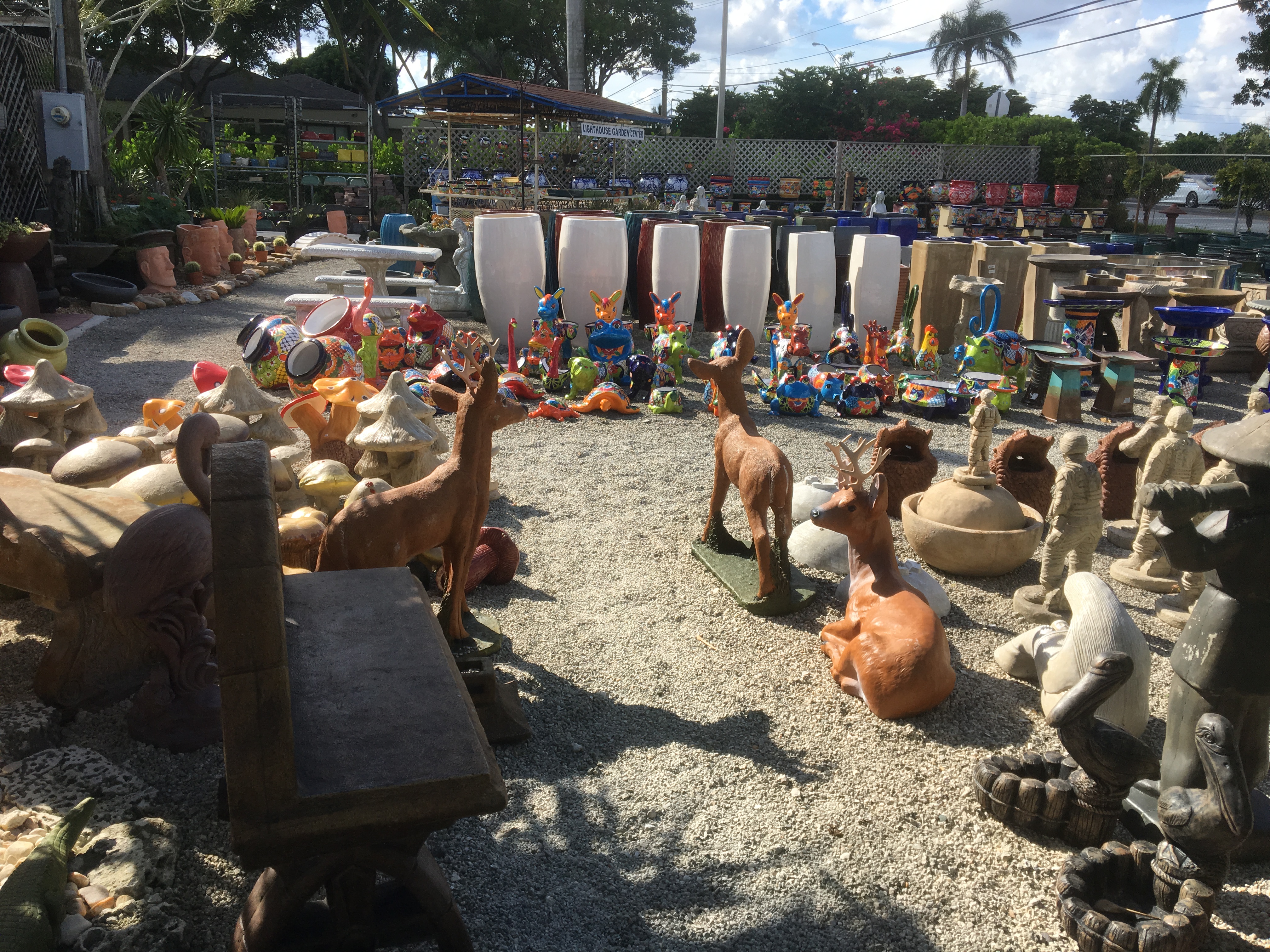 Lighthouse Garden Center Plant Nursery Miami Plant Nursery Garden Center Miami