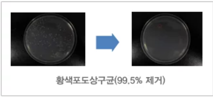 이온클러스터 살균 효과