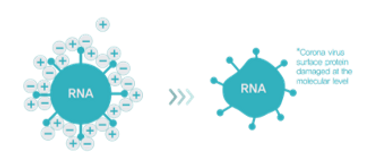 이온클러스터 코로나 제거