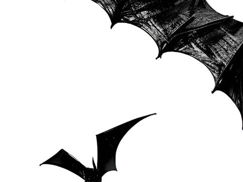 Perfecting Minimalism