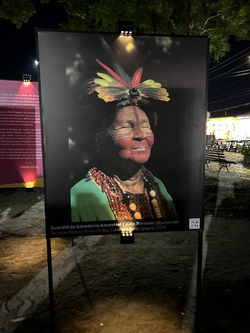 Exposição à noite