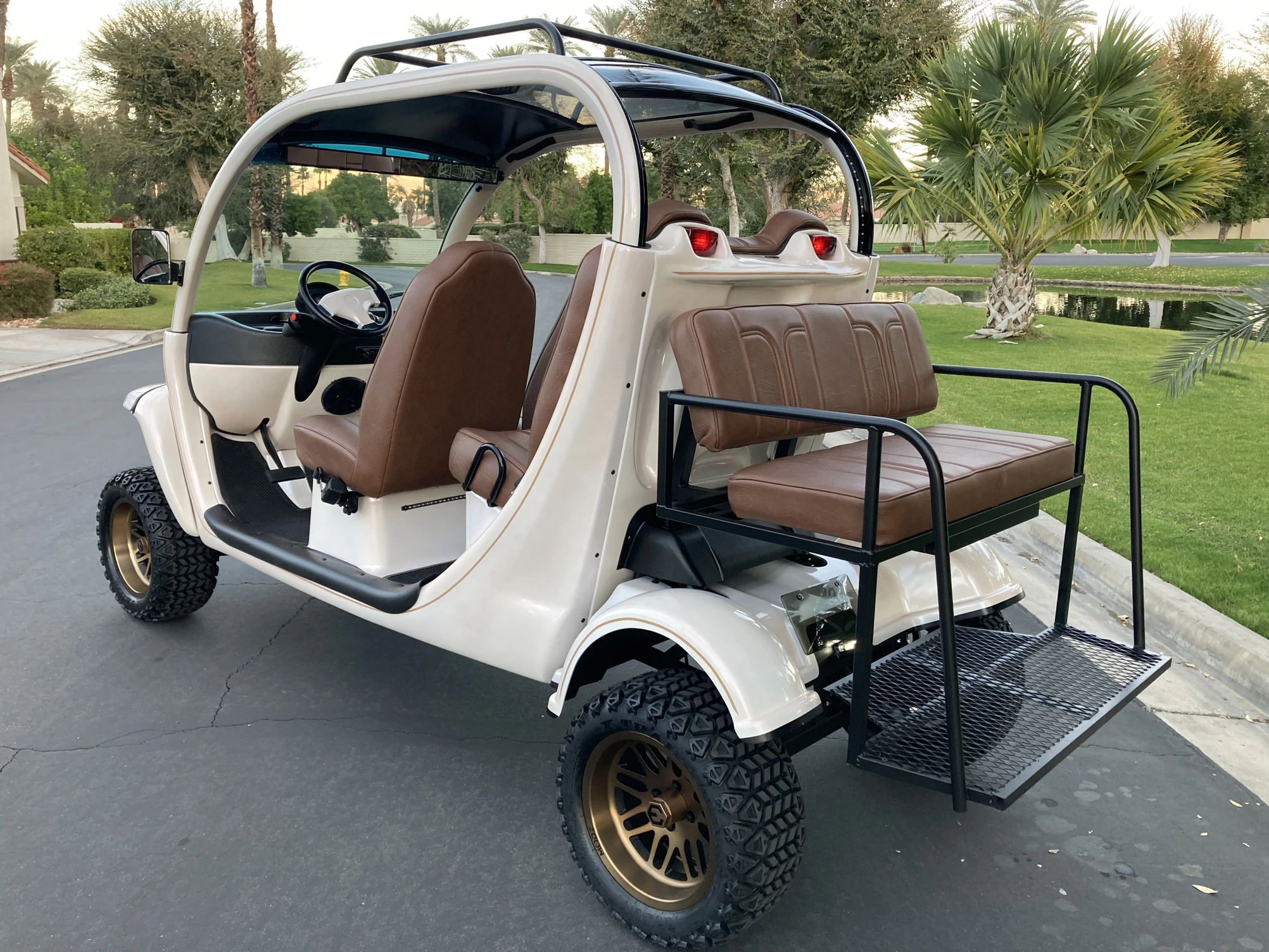 Elevate Designs by Dustin MacIntosh Arizona Customize GEM NEV lithium