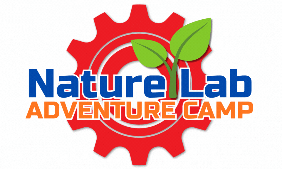 CAMP STEM (3).gif