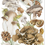 Thumbnail: Pine & Mushroom Kitchen Towel