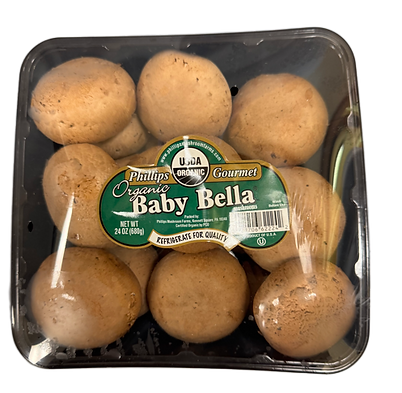 24oz Org Baby Bella.png