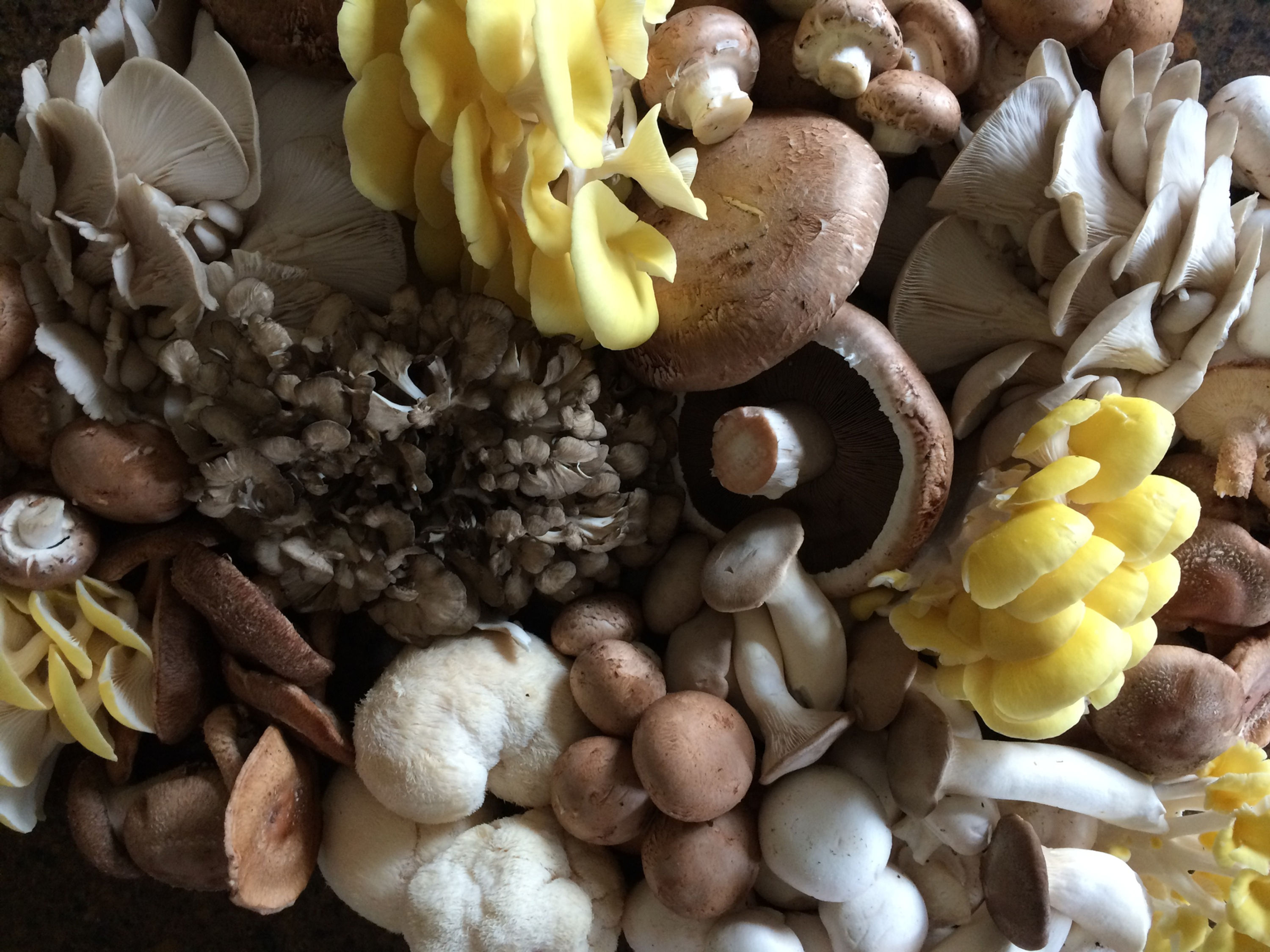 3 LB. Combination box