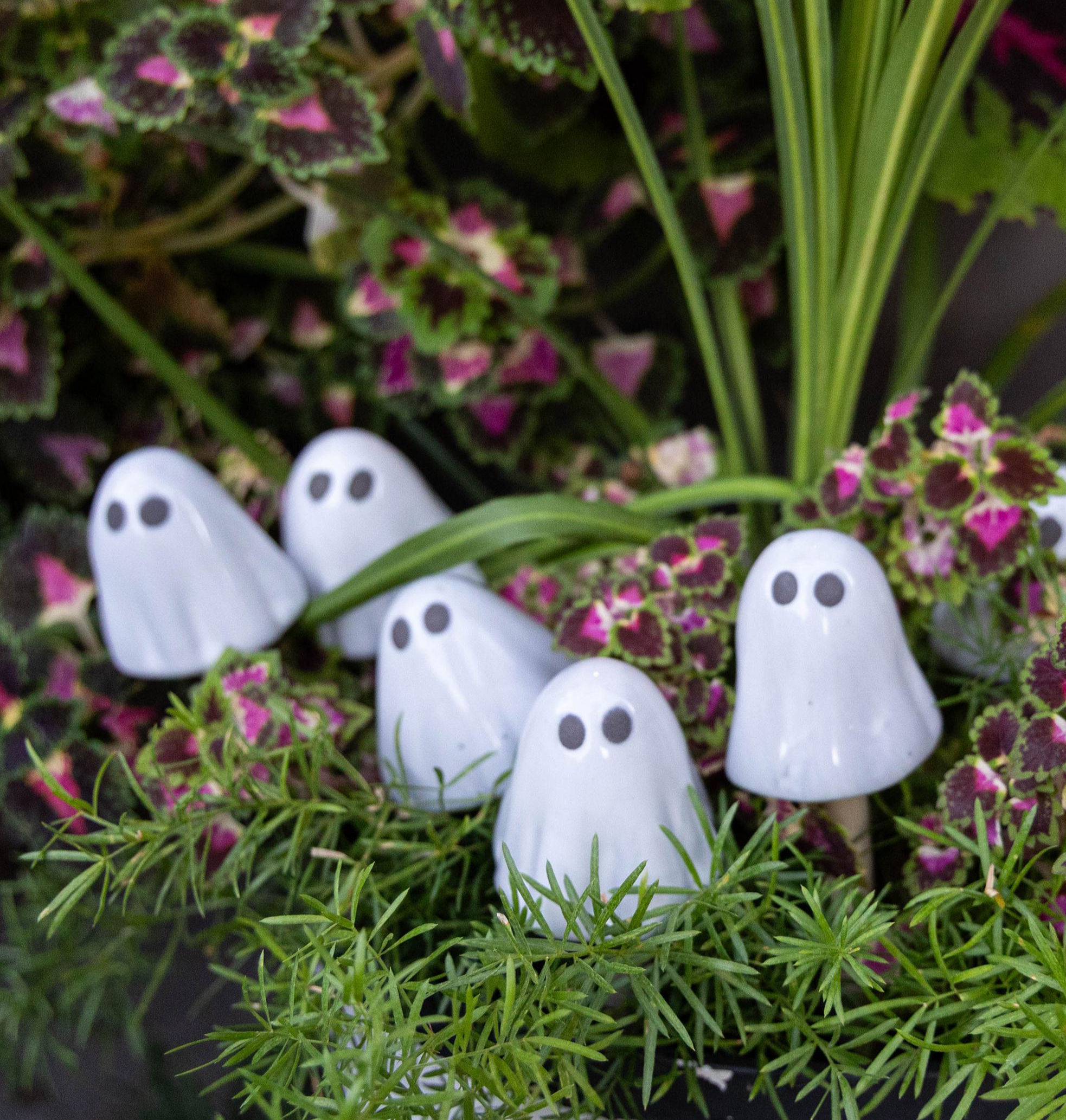 Micro Ghost Shroomyz