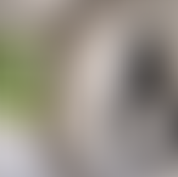 Electrical Fixes You Can Do Yourself for Free: Fix an EV Charger That “Stopped Working”