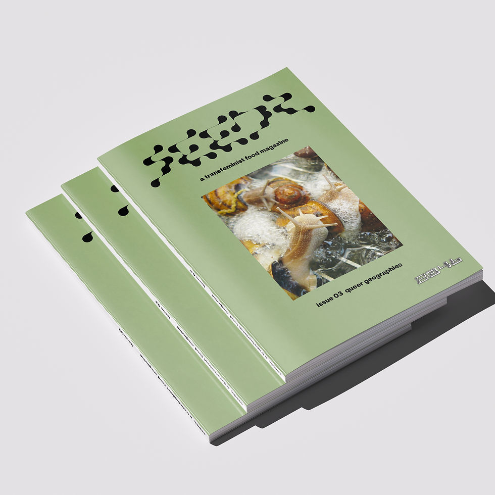 Magazine_Mockup_2_edited.jpg