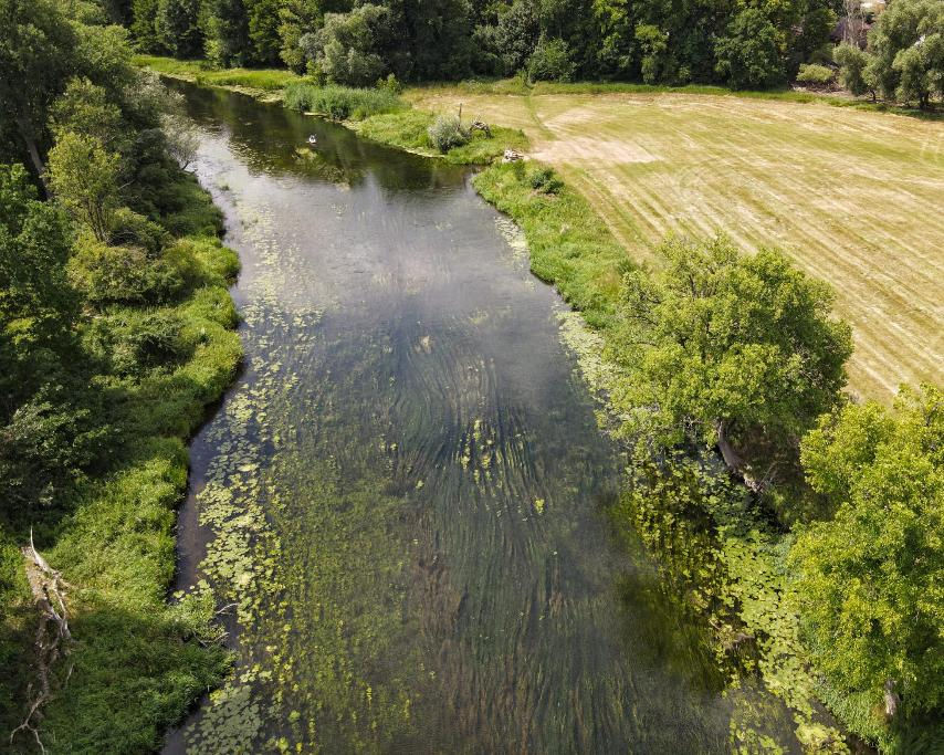 Spree bei Möncheswinkel