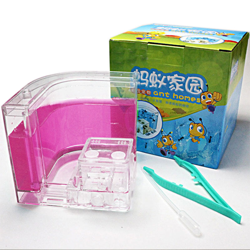 Thumbnail: Ant Farm / Ant Castle – Transparent Insect Terrarium