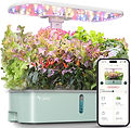 Hydro Planter
