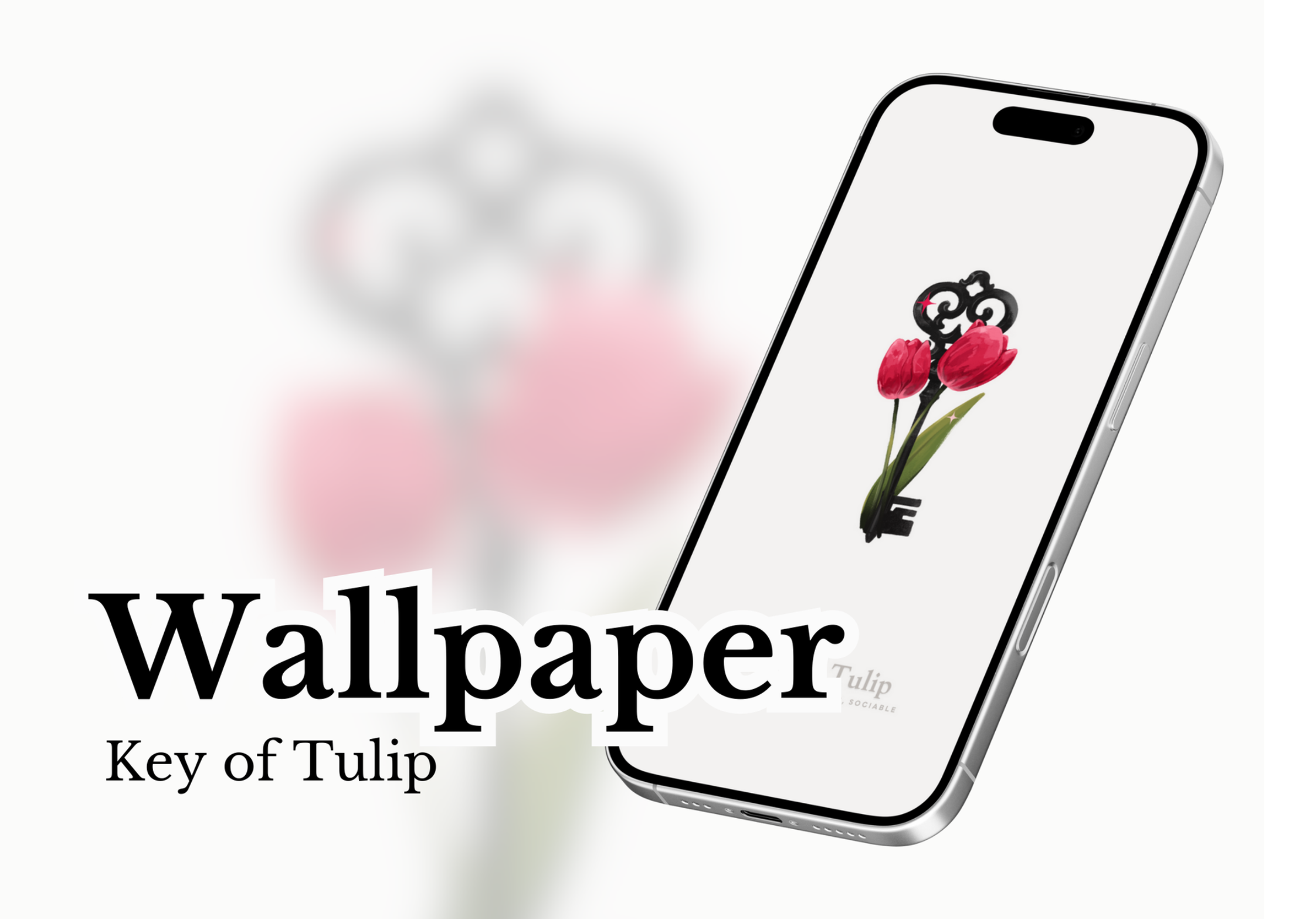 Wallpaper - Key of Tulip