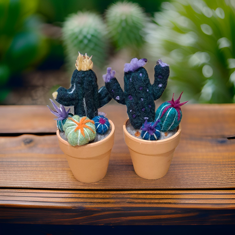 pixelcut-export-1739573559532