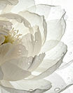 4edb489089e673dde8da2967a1eb17e6.jpg