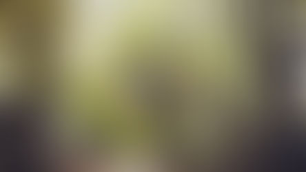 Trust your Path, All is possible!