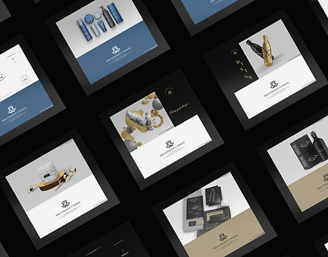 Graphisme presentation site 2.png