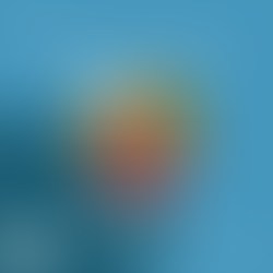 CCCN Intern Highlight April 2022