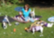unnamed (17).png
