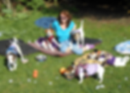 unnamed (17).png