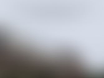 UNIVERSAL CITY STUDIOS LIC & ORS. VS.FZMOVIES.NET & ORS.