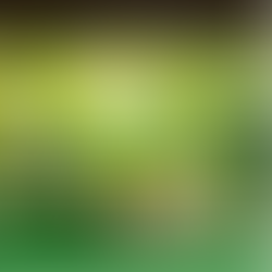 DCM Shriram LimitedThe National Biodiveristy Authority